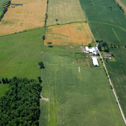 A Complete Guide to Buying Agricultural Land in India