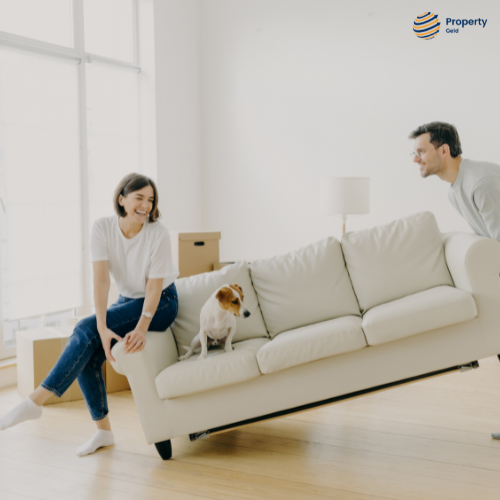 Managing Pet Ownership in Housing Societies: Guidelines & Policies
