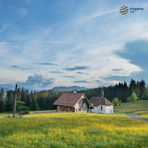 Farmhouse vs Plot: Which Real Estate Investment Is Right for You?