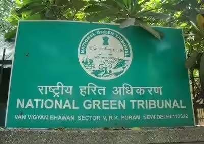 NGT directs 10 Faridabad builders to furnish bank guarantees over faulty STPs