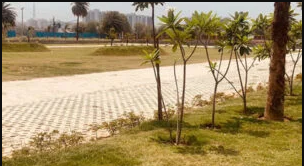 Ireo Pride Park in Sohna — photo 3