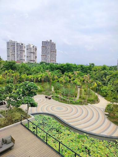 Vaanya in Kolkata — photo 5