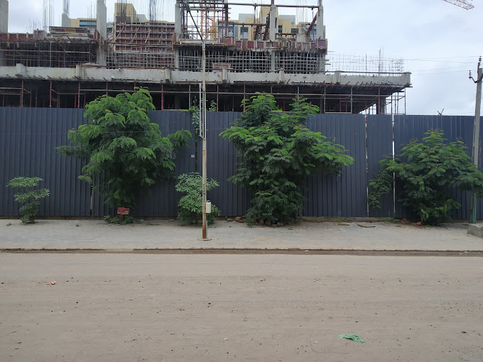 Kavisha Aer in Ahmedabad — photo 2