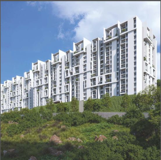 Rohan Saroha in Pune — photo 5