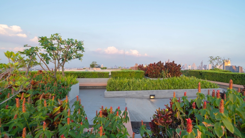The Silver Altair in Pune — photo 4