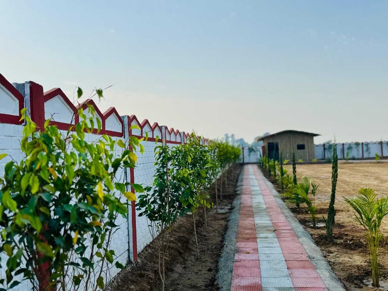 1240 sq yards farmhouse in faridabad in Faridabad — photo 6