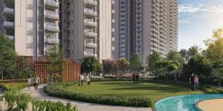 SS Camasa in Gurugram — photo 2