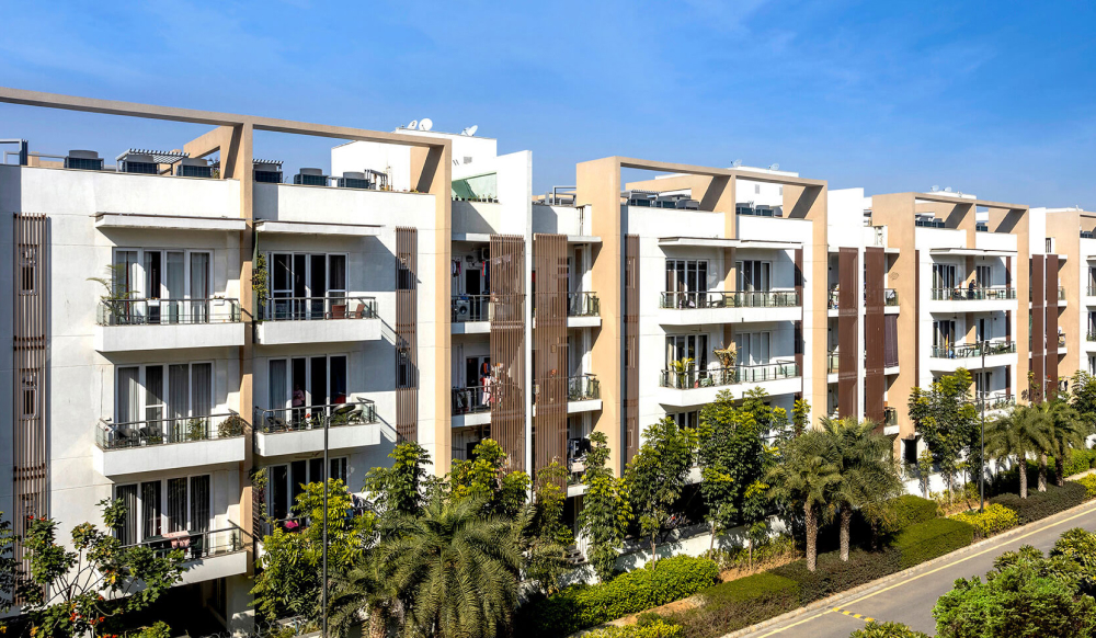 Samsara Ivana in Gurugram — photo 4