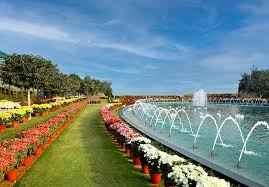 Central Park Flower Valley in Gurugram — photo 5