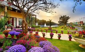 Central Park Flower Valley in Gurugram — photo 6