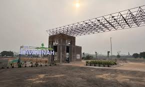 Ireo Savannah in Sohna — photo 4