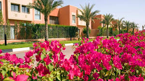 Mangrove Village in Abu Dhabi — photo 3