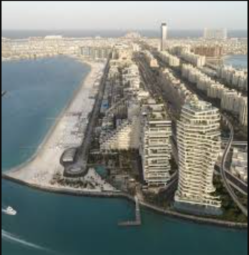 Ava at Palm in Dubai — photo 2