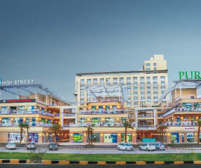 Puri Amanvilas in Faridabad — photo 3