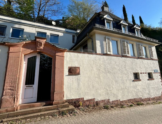 Charming Historic Villa with Castle Views in Heidelberg — photo 3