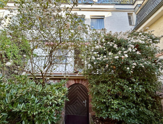 Charming Historic Villa with Castle Views in Heidelberg — photo 4