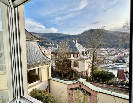 Charming Historic Villa with Castle Views in Heidelberg — photo 5