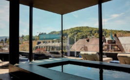 Luxury Penthouse with Rooftop Views & Private Sauna in Baden-Baden in Baden-Baden — photo 3