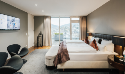 Luxury Penthouse with Rooftop Views & Private Sauna in Baden-Baden in Baden-Baden — photo 5