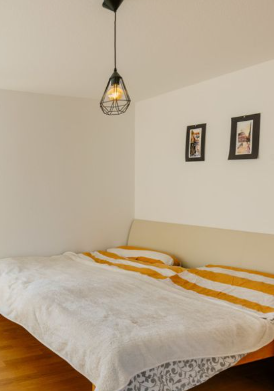 luxury Apartment in Freiburg in Freiburg im Breisgau — photo 3