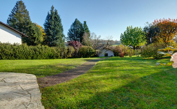 Development Land in Schäftlarn in Schäftlarn — photo 4