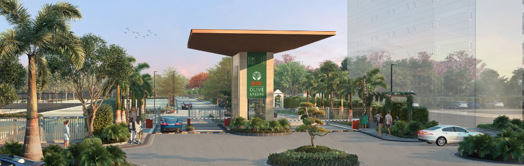 M2K Olive Greens in Gurugram